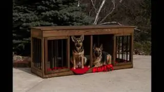 Duplex Dog Kennel build in 60 seconds