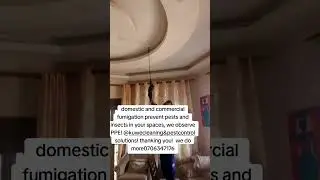 Live in a pest free home