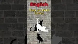 They are both males. The 5-minute-a-day way to learn German.