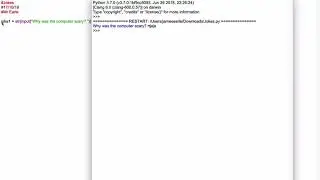 Jokes in Python Code