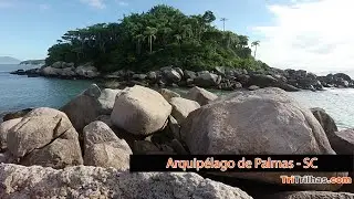 Arquipélago de Palmas (snorkel) - SC