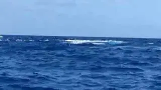 TAILSLAP