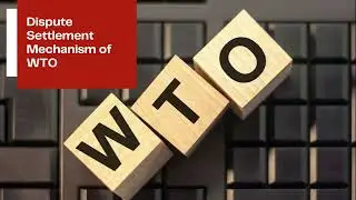 How Does Dispute Settlement Mechanism of WTO Work?