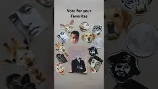 Which One is Best
