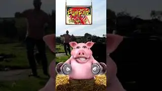 Puffa Pig 🐷