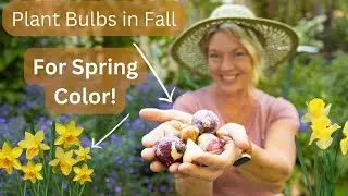 Planting Spring Flowering Bulbs | Naturalizing Bulbs