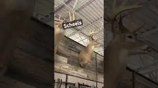 Scheels Sporting Goods