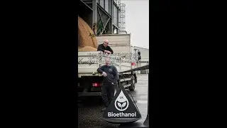 Vivergo Fuels took its last wheat delivery UK bioethanol is at risk after a trade deal slashed