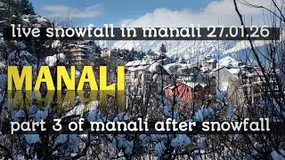 Check this vedio for live snowfall in manali #himachalpradesh #snow #travel #manali 