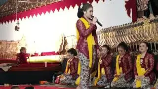 Niken salindry dalang ki Cahyo Kuntadi