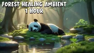 1-Hour Forest Healing Flow &ndash; Peaceful Nature Sounds for Deep Relaxation | Relaxing Panda