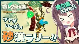 【ティアキン】発見だらけの寄り道大好き！初見実況【ゼルダの伝説ティアーズオブザキングダム Switch2 VTuber なちゅモカ】142