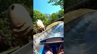 Bobkart Bahn - POV - Erse Park - Wiegand