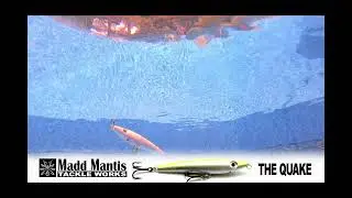 QUAKE SWIM VIDEO