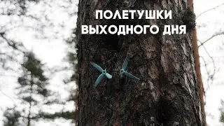 Beware the Trees (FPV)
