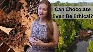 Is Chocolate Really Vegan? Unwrapping Ethics, Sustainability & Bonus Taste Testing