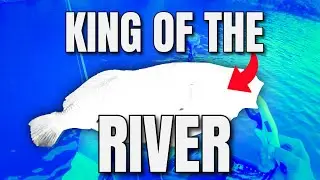 I did not expect to catch a river monster in this popular Nashville TN river | early Fall fishing!