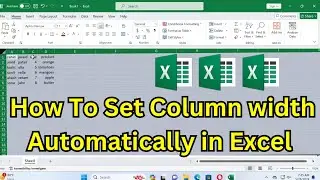 how to set column width automatically in excel | automatic adjust cell width as per data