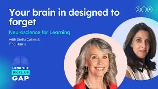 Neuroscience for Learning - Your brain in designed to forget