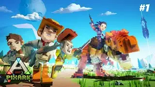 PIXARK #1