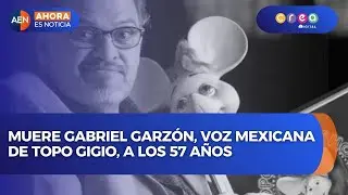 Muere Gabriel Garz&oacute;n, voz mexicana de Topo Gigio, a los 57 a&ntilde;os | AEN