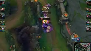 fizz highlight
