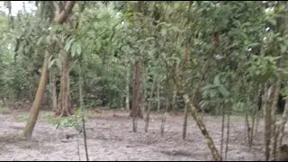 Apresentando nosso prop&oacute;sito no monte.