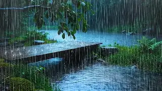 🌧️ Continuous Rain & Gentle Thunder by the Lake - Relaxing Nature Sounds, Deep Sleep, Stress Relief