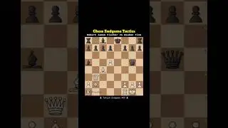 Chess Endgame Tactics #49 Robert James Fischer Vs Reuben Fine #catur #chess #endgame #shorts #short