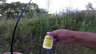 How To Use Pro-Cure Sticky Gel ! Will It Catch A Largemouth Bass ? ! #fish #fishing #bassfishing