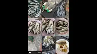 Tutorial membuat alat pancing belanak dengan BOTOL