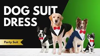 Dog Tuxedo Suit
