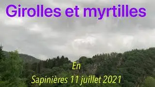 Girolles et myrtilles 11 juillet 2021