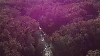 a lovely fall day Piedmont SC