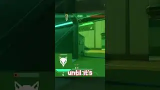 How To USE SKYE DOG Efficiently!