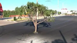Дерево - Blender