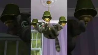 Talking Tom 2 