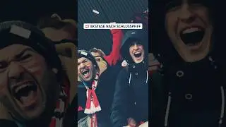 🎉 Die Sekunden nach Spielende 🇦🇹 #Gemeinsam&Ouml;STERREICH