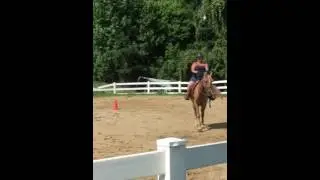 Bloopers: bridleless jumping??