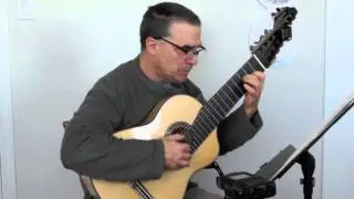 Weiss Gigue sc-34 13 string Dresden guitar