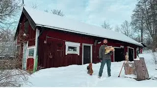 Winter on a 1 acre homestead