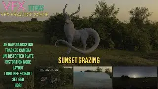 VFX Creature Practice Scene - Sunset Grazing