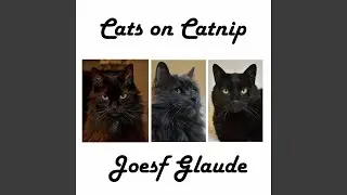 Cat Tattoo