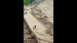 #floods #floods2022 #short