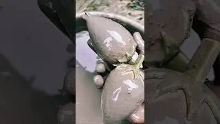 tamma tamma Dekho Dekho hamari jindagi