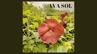 Ava Sol - Delta Dawn (Audio)