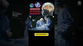 НАНОПЛАСТИК ПОРАЖАЕТ ДЫХАТЕЛЬНУЮ СИСТЕ  