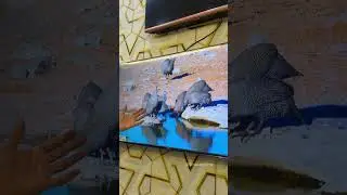 AI LED TV Only 3500₹ में 👌🏻👈🏻 #shortsfeed #wholesale #smallbusinessideas