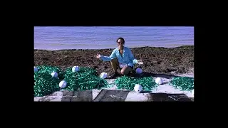 USF College of Marine Science Recruitment
