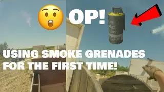 SMOKE GRENADES ARE OP! | Fresnomemesoft 4 | MK18 DSG GAMEPLAY